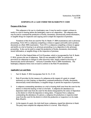 Bankruptcy Subpoena Form B256