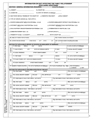 Texas Family Law Suit Information Form