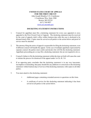 Docketing Statement Instructions