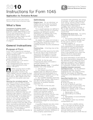 Instructions for Form 1045 (2010)