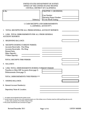 Chapter 11 Business Operating Report