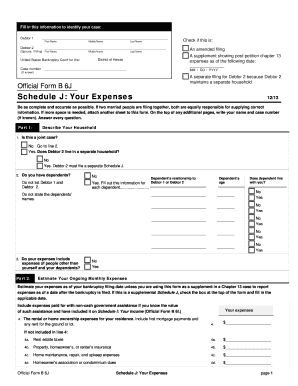 Schedule J: Your Expenses