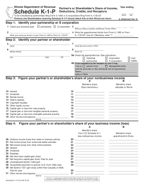 Illinois Schedule K-1-P Tax Form