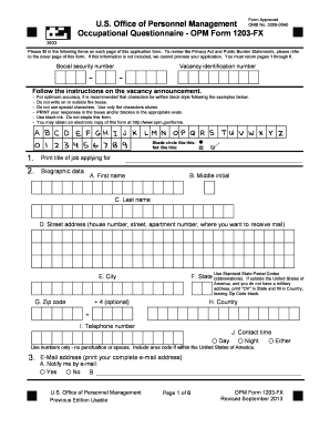 US Federal Government Job Application Form
