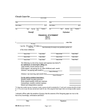 Financial Statement for Child Support