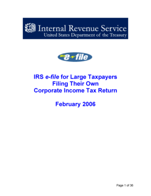 IRS e-file Guide for Large Corporations