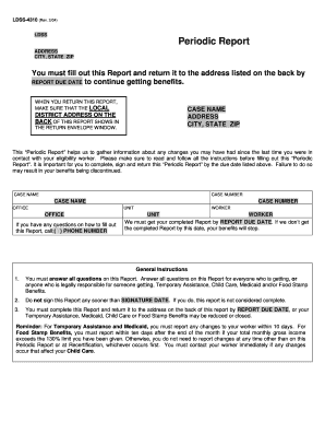LDSS-4310 Periodic Report