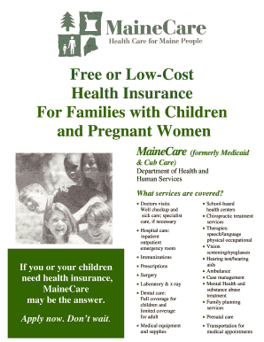 MaineCare Health Insurance Application