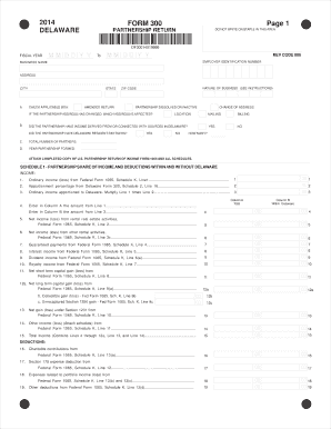 Delaware Partnership Return Form 300