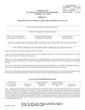 Form F-1 Registration Statement