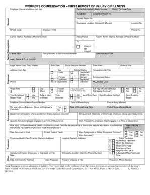 Workers Compensation First Report of Injury or Illness