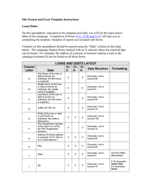 Campaign Finance Loans and Debts Template