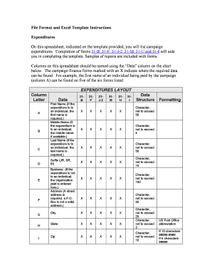 Campaign Expenditure Spreadsheet Template