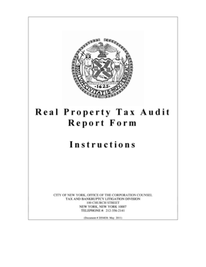 Real Property Tax Audit Report Form