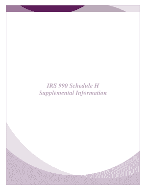 IRS 990 Schedule H Form