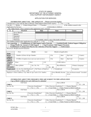 Hawaii Child Support Application Form