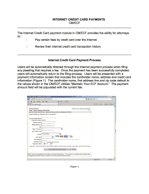 Internet Credit Card Payment Form