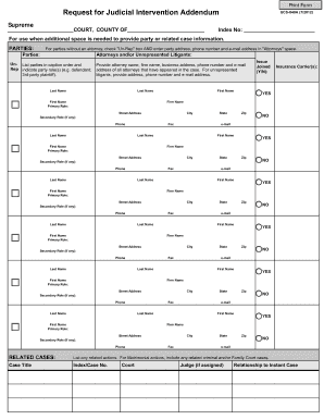 Request for Judicial Intervention Addendum