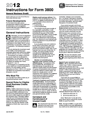 Form 3800 Instructions