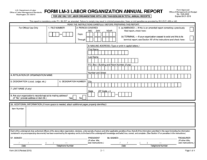 US Labor Organization Annual Report Form LM-3