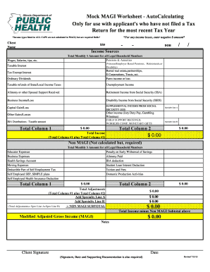 Mock MAGI Worksheet