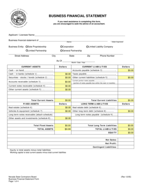 Nevada Business Financial Statement