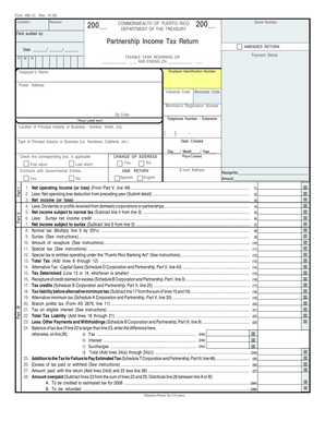 Puerto Rico Partnership Income Tax Return Form 480.10