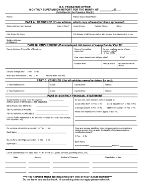US Probation Monthly Supervision Report