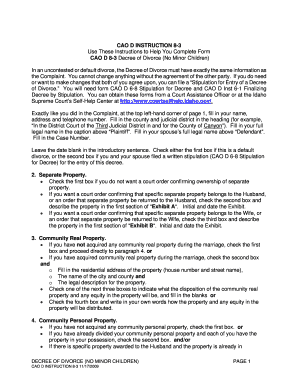 Decree of Divorce No Minor Children