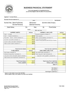 Nevada Business Financial Statement