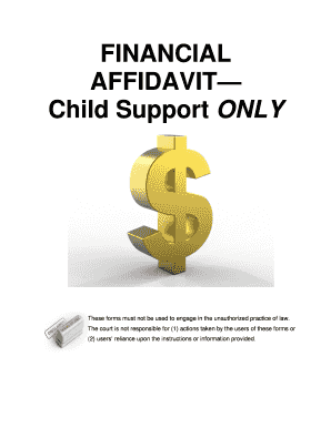 Child Support Financial Affidavit