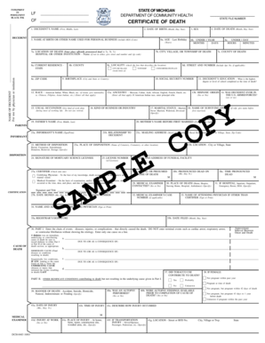 Michigan Certificate of Death