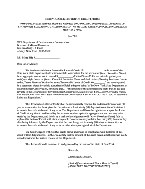 Irrevocable Letter of Credit Form