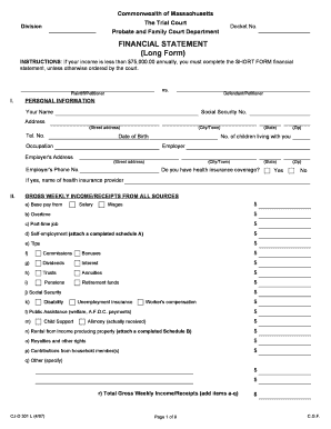 Massachusetts Long Form Financial Statement