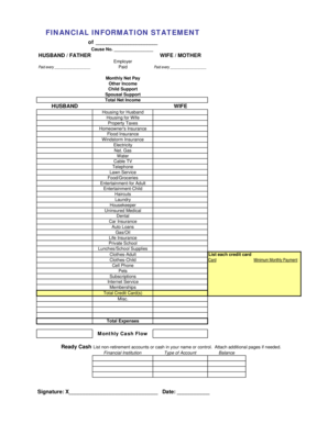 Financial Information Statement