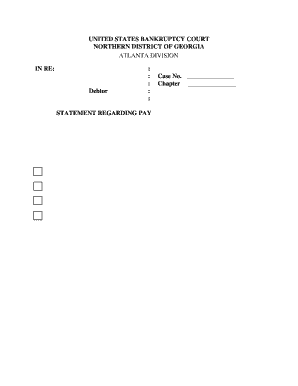 Bankruptcy Payment Advices Statement