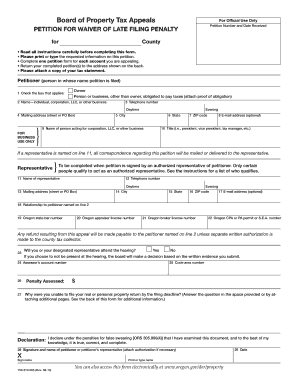 Petition for Waiver of Late Filing Penalty