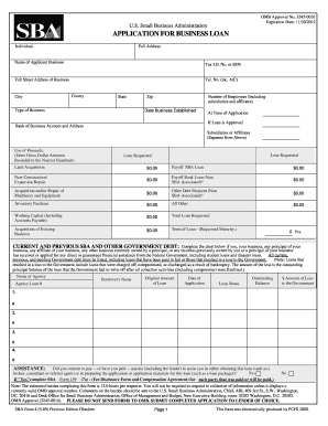 US Small Business Administration Business Loan Application