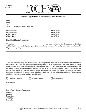Illinois Mental Health Professional Client Information Form