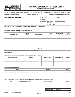 California Financial Statement for Businesses