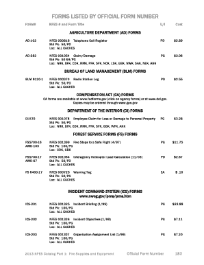 Incident Briefing Form