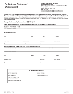 New York Preliminary Statement of Complaint