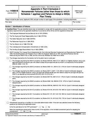 IRS Form 14568-B Nonamender Failures