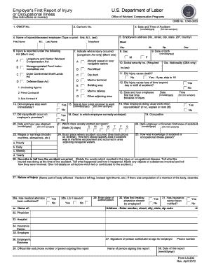 Employer's First Report of Injury or Illness