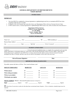 Georgia Vision Report
