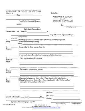 Affidavit in Support of Order to Show Cause