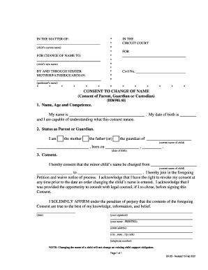 Child Name Change Consent Form