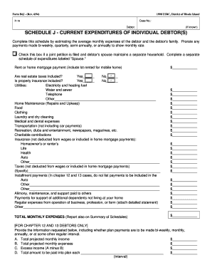Schedule J - Current Expenditures of Individual Debtor