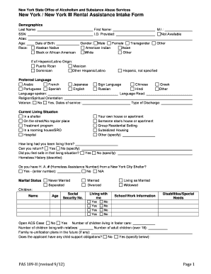 New York Rental Assistance Intake Form