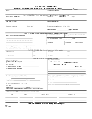 US Probation Monthly Supervision Report